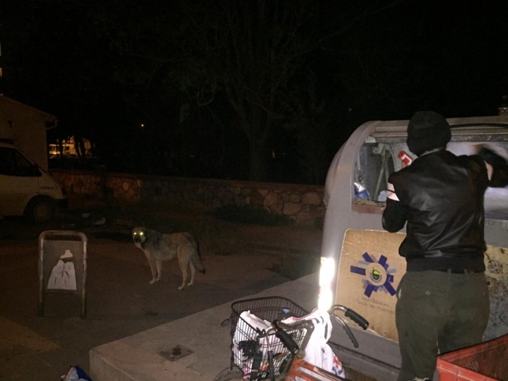 Sokak Hayvanlarını Elleriyle Besliyor