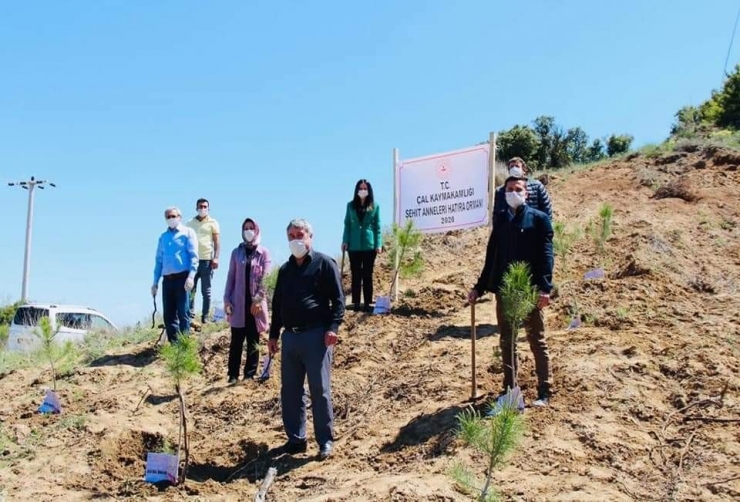 Çal’da Şehit Anneleri İçin Hatıra Ormanı Oluşturuldu