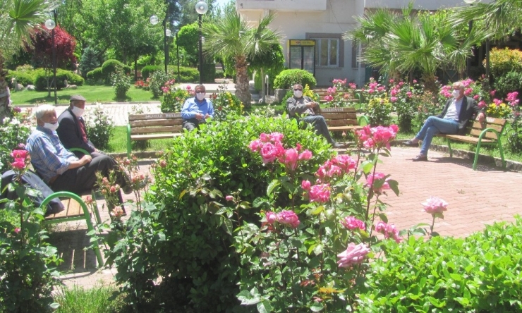 Yaşlılar Parkları Doldurdu