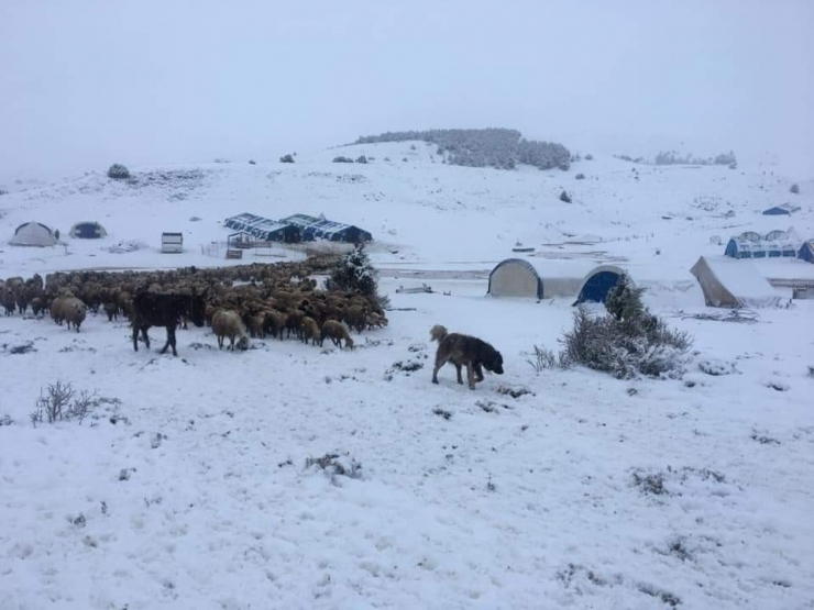 Göçerler Baharda Kışa Yakalandı