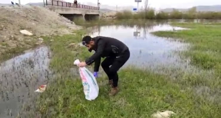 Evde Yakalanan 30’a Yakın Yılan Doğaya Bırakıldı