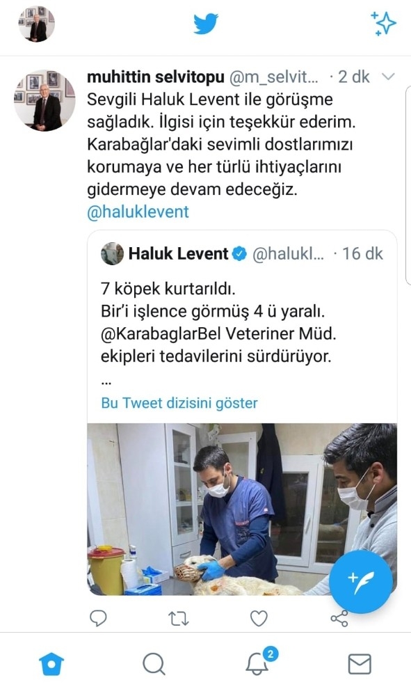 Haluk Levent Eziyet Edilen Hayvanlar İçin Harekete Geçti