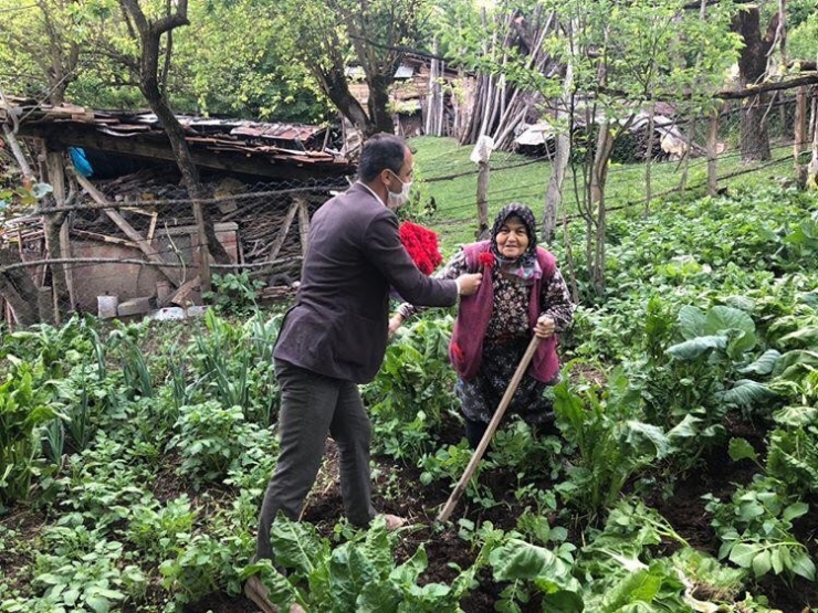 Köy Muhtarı Kapı Kapı Dolaşıp Annelere Karanfil Dağıttı