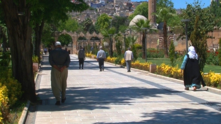 Yaşlılar Balıklıgöl’e Akın Etti