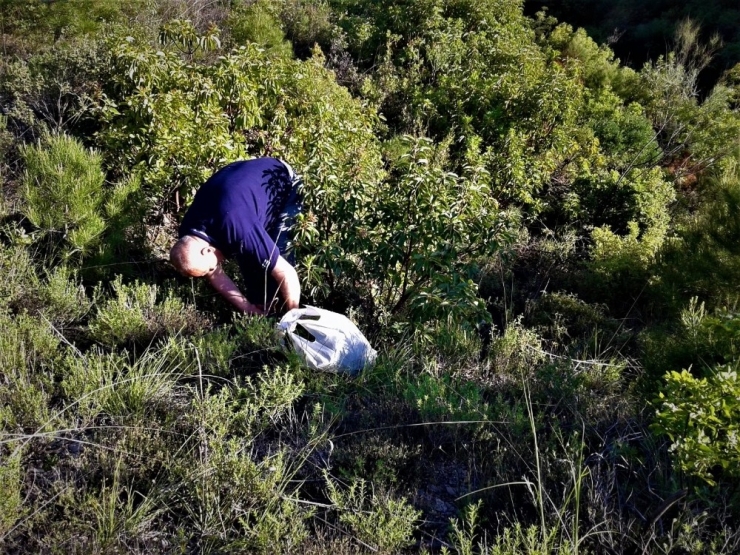 Korona Salgını Dağ Kekiğine İlgiyi Artırdı