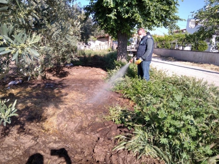 Manisa’da 3 Bin Belediye Personeli Görevinin Başındaydı
