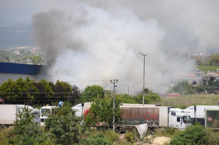 Mersin’de Narenciye Paketleme Fabrikasında Yangın
