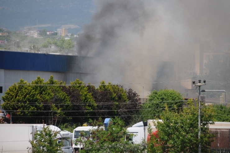 Mersin’de Narenciye Paketleme Fabrikasında Yangın