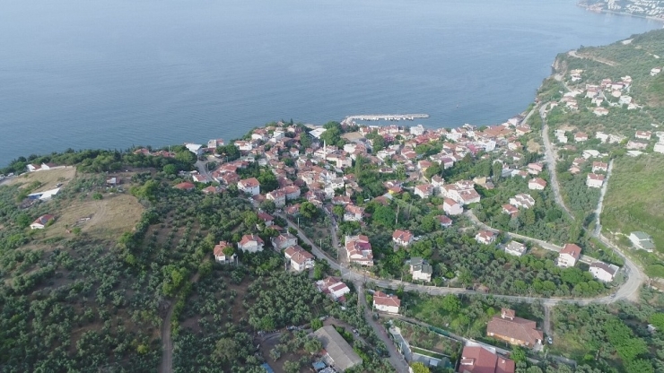 Mudanya’nın Batısı ‘Sit’ Alanı İlan Edildi