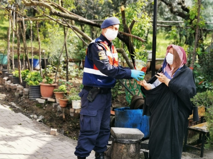 Jandarmadan Annelere Sürpriz