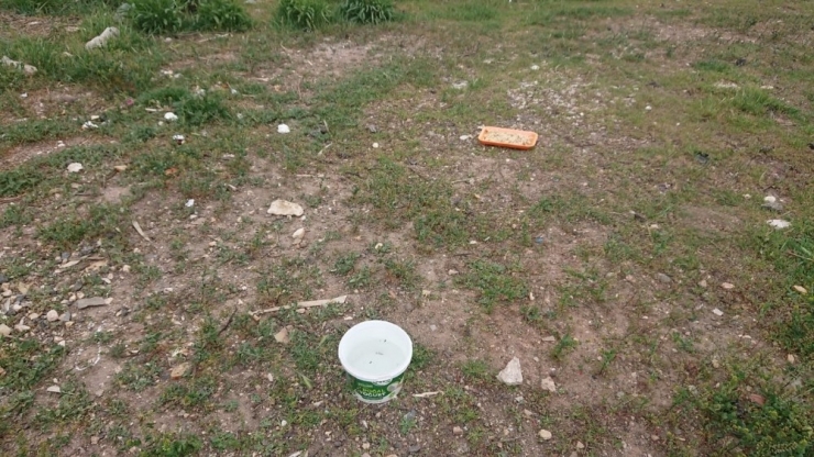 Sokak Hayvanlarına Her Gün Su Ve Yemek Veriyor