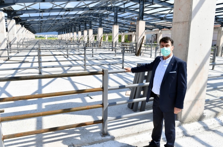 Türkiye’nin En Büyük Tesisi Kurban Bayramına Hazır