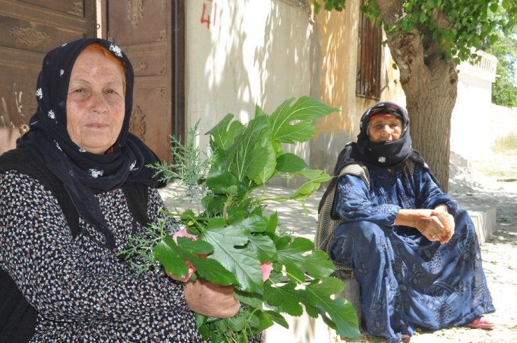Rayların Üzerinde Yürüyerek Çocukluklarını Yaşadılar