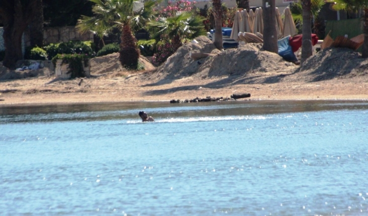 Nargileyi Bile Hesap Ettiler, Polisi Hesap Etmediler