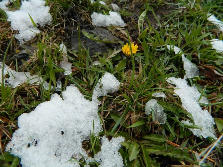 Kar Posof’u Terk Etmiyor