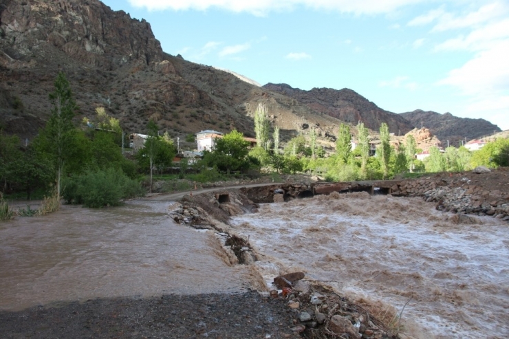 Oltu Çayı Coştu Seralara Taştı