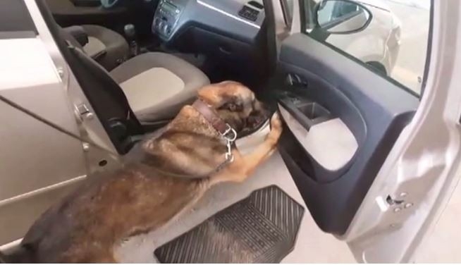 Uyuşturucu Operasyonlarında Yakalanan 11 Kişiden 9’u Tutuklandı