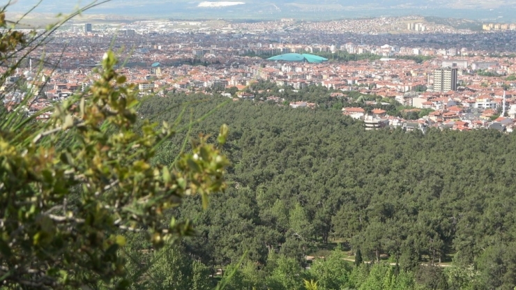 Hava Kalitesi İyileşen Denizli’de Pamukkale’nin Güzelliği Ortaya Çıktı