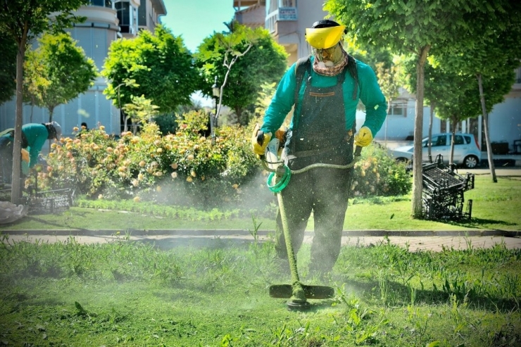 Didim’de Parklarda Temizlik Çalışmaları Sürüyor