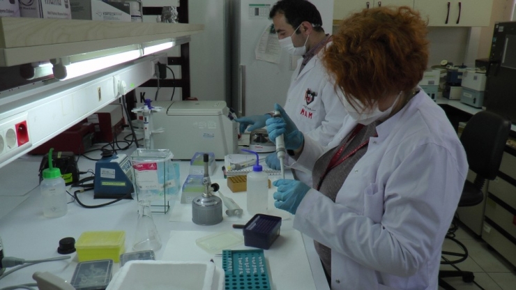 Tübitak, Korona Virüs Aşısı İçin Tarih Verdi