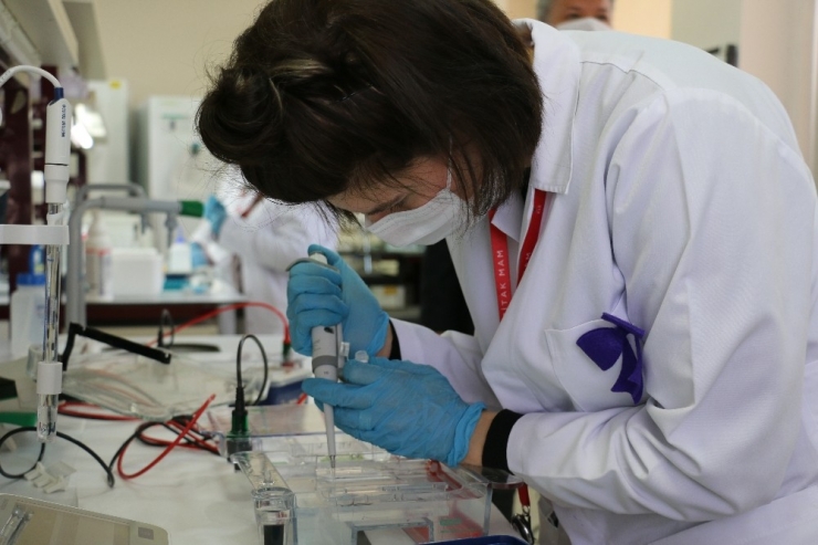 Tübitak, Korona Virüs Aşısı İçin Tarih Verdi