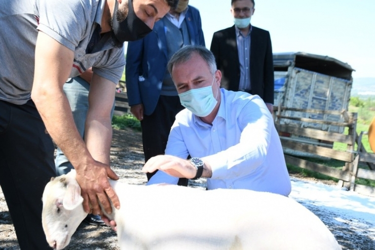 Başkan Taban Hayvan Yetiştiricileri İle Bir Araya Geldi