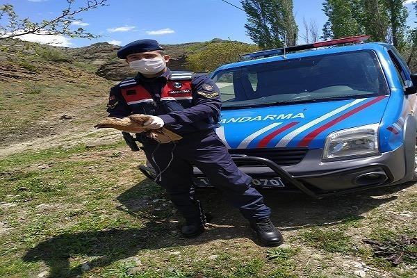 Yaralı Şahin’e Jandarma Sahip Çıktı