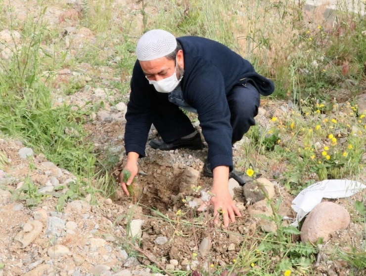 Karantinadan Ayrılırken Hatıra Olarak 292 Fidanı Toprakla Buluşturdular
