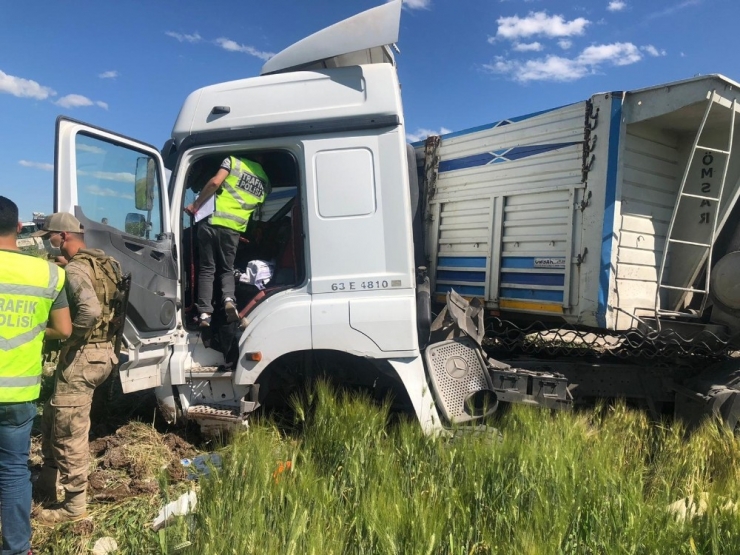 Tır, Hayvan Yüklü Kamyonete Çaptı: 1 Ölü, 3 Yaralı
