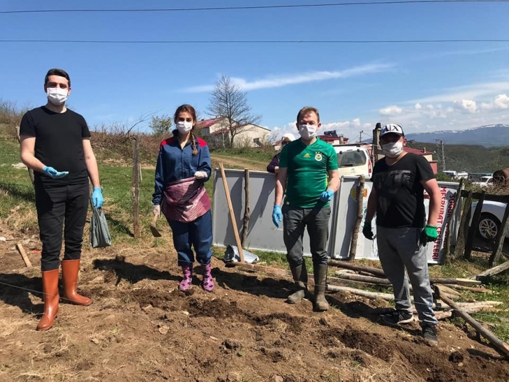 Kaymakam Hanım Tarlaya Girdi