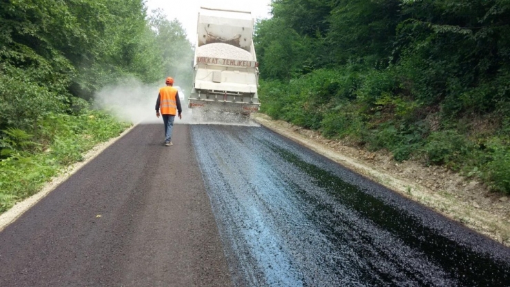 Sinop Köylerine 43 Milyon Tl Ödenek