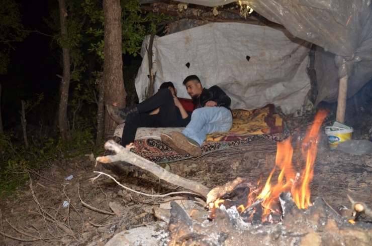 Şırnak’ta Besiciler, Koyunlarını Kurtlardan Korumak İçin Gece Nöbet Tutuyor Gündüz İse Uyuyor