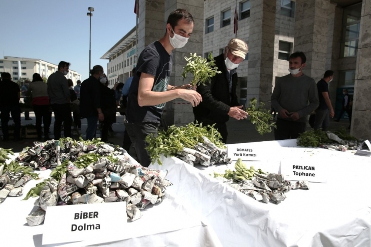 Nilüfer’de Balkon Tarımı Başlıyor