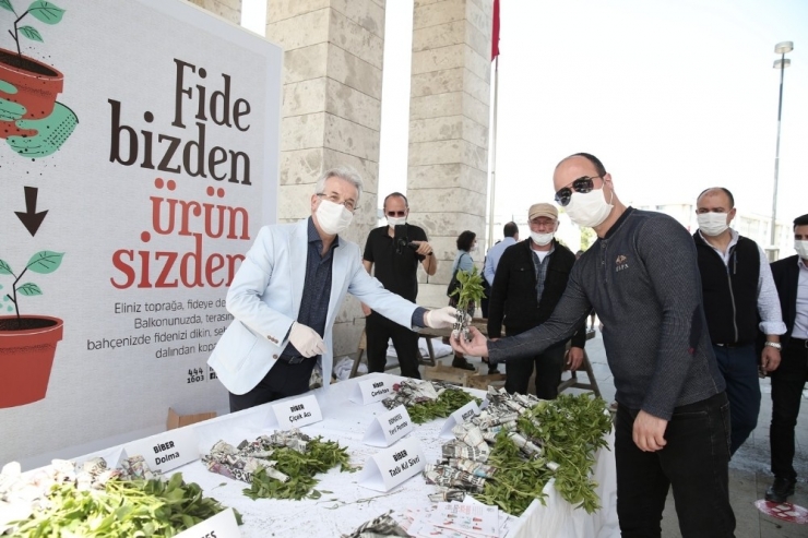 Nilüfer’de Balkon Tarımı Başlıyor