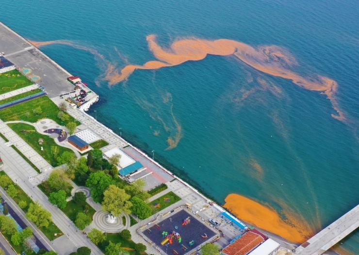 Marmara Denizi Yine Turuncuya Büründü