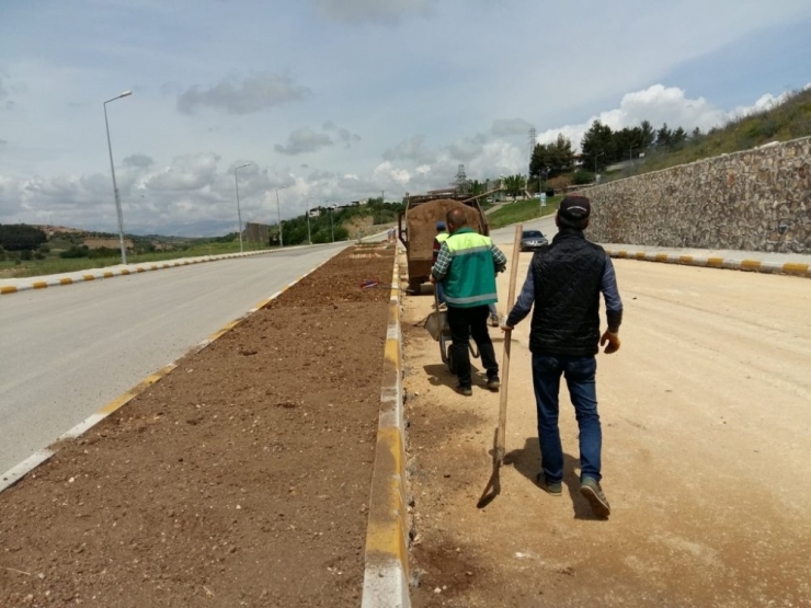 Kavşak Ve Refüjlerde Düzenleme Çalışması