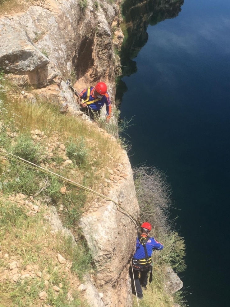 Mahsur Kalan Keçiyi Afad Ekipleri Kurtardı
