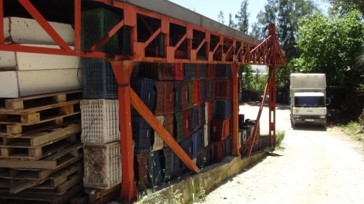 Boş Meyve Sebze Kasalarını Bile Çaldılar