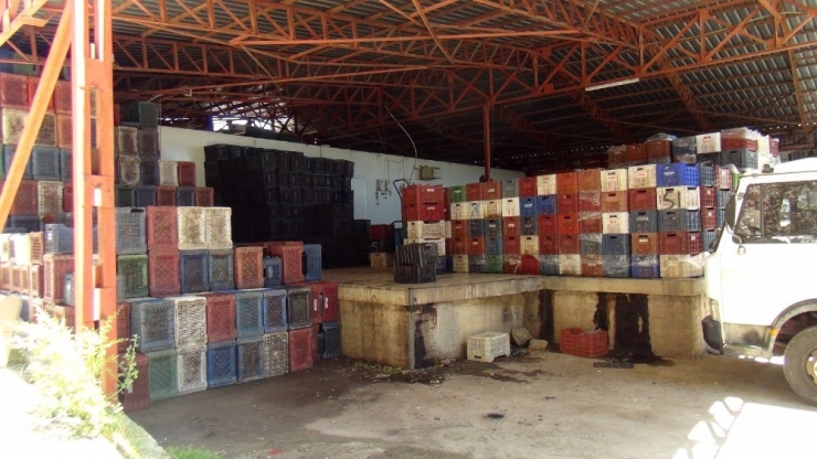 Boş Meyve Sebze Kasalarını Bile Çaldılar