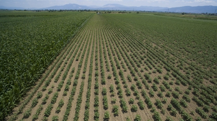 Dsi Çok Yıldızlı Projeleri Hayata Geçiriyor