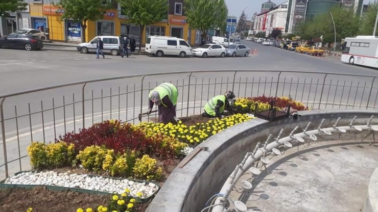 Düzce’de Bahar Çiçekleri Dikimi Devam Ediyor