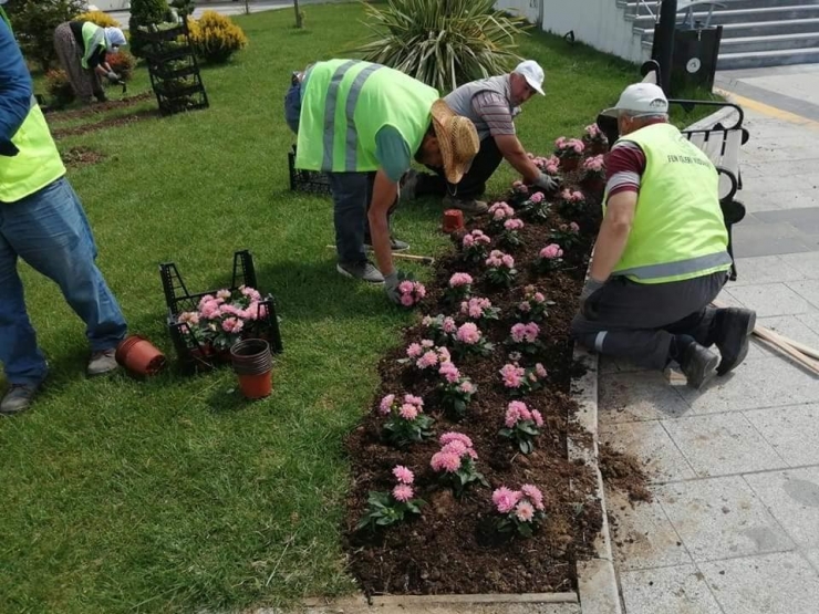 Düzce’de Bahar Çiçekleri Dikimi Devam Ediyor