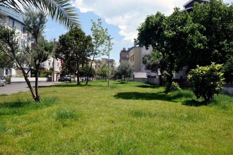 Kepez’den İki Mahalleye Rekor Yeşil Alan