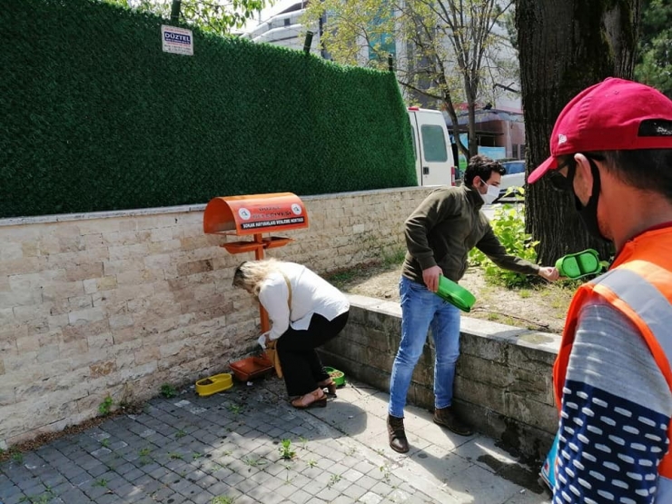 Sokak Hayvanlarına Mama Ve Su Dağıtımı Sürüyor