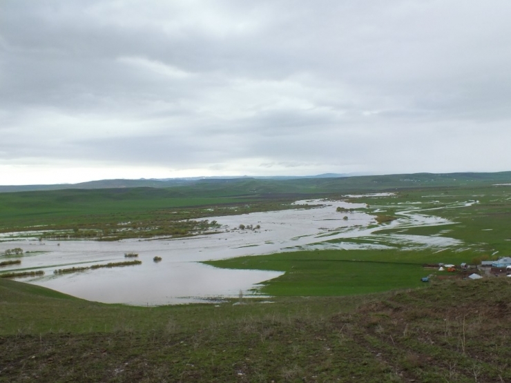 Malazgirt Ovası İkinci Defa Sular Altında Kaldı