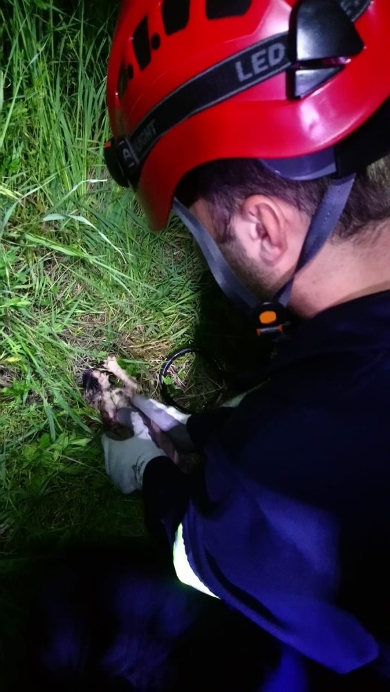 İtfaiyeden İnsanlık Dersi: Ölmek Üzere Olan Köpeği Masajla Kurtardılar