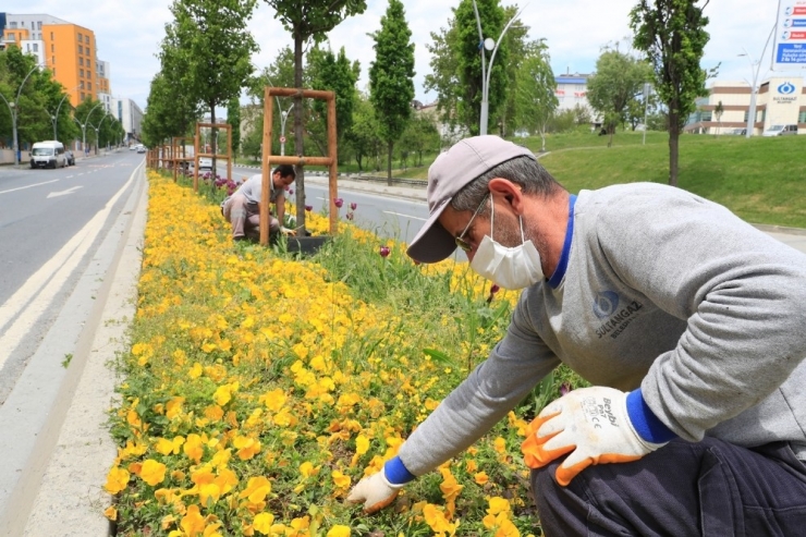 Sultangazi’de Korona Virüs Sonrasına Hazırlık