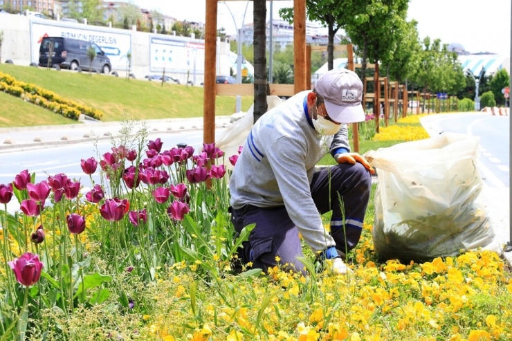 Sultangazi’de Korona Virüs Sonrasına Hazırlık