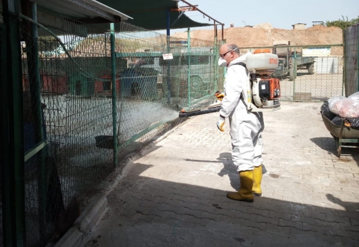 Turgutlu Belediyesi Can Dostları Unutmadı