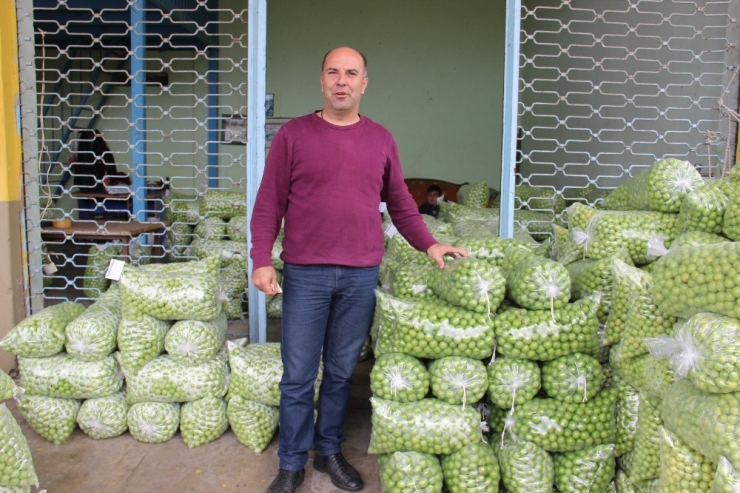 Aydın’da Erik Üreticisine Tat Vermedi
